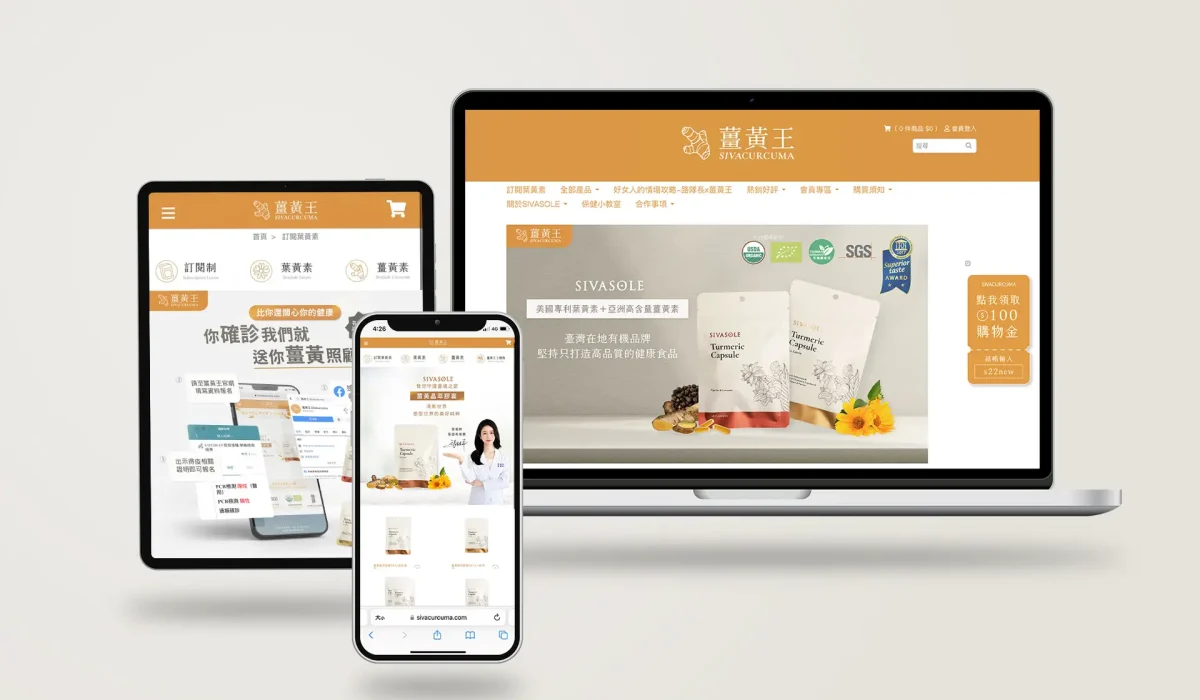 薑黃王網站視覺